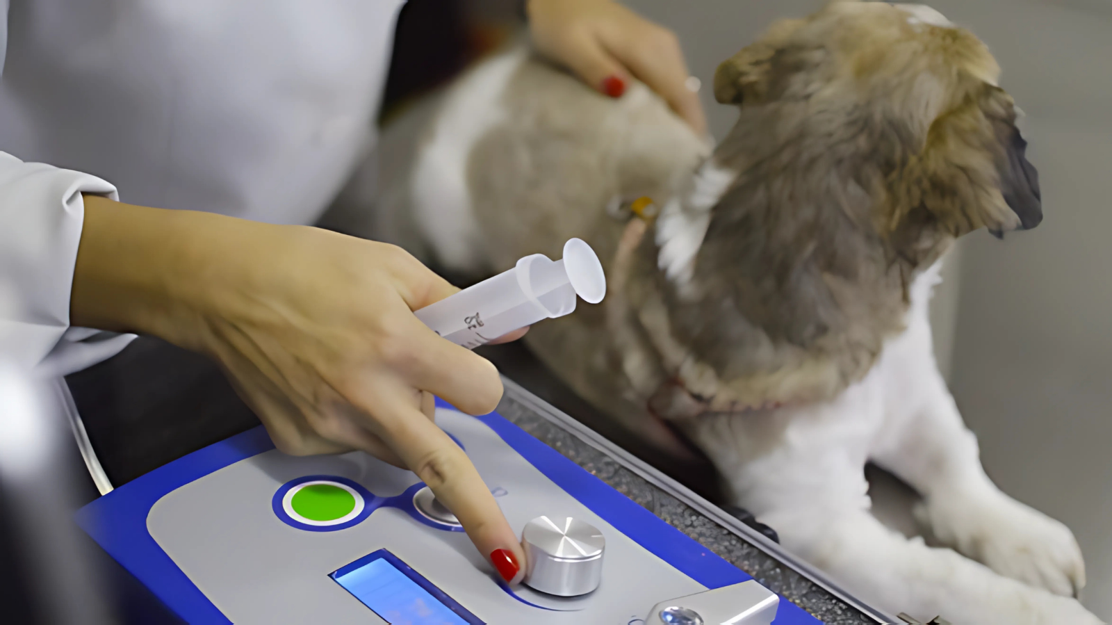 Tecnologias revolucionárias na Medicina Veterinária: o futuro da profissão