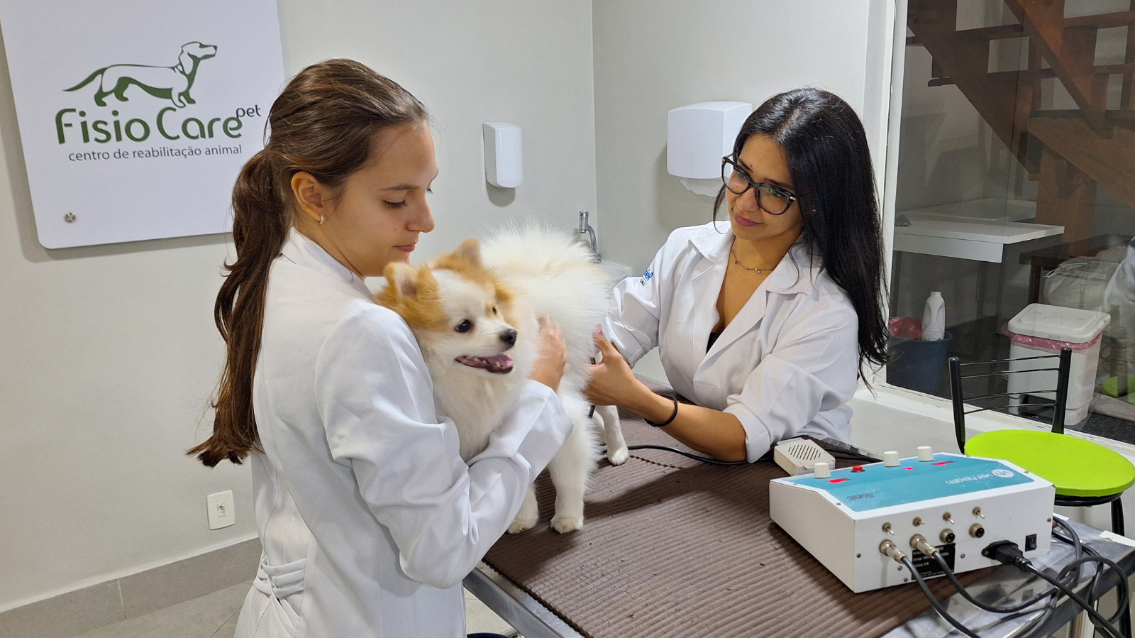 Estágio em Veterinária: o segredo para iniciar sua jornada profissional