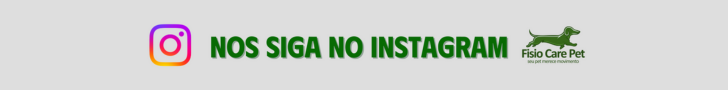 banner-instagram-fisio-care-pet