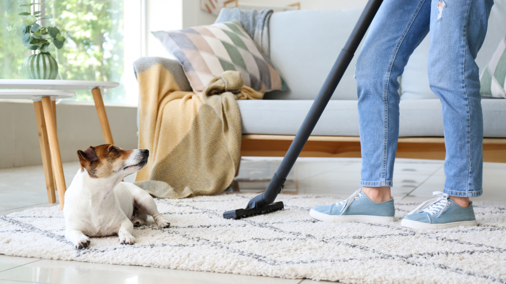 Pet espirrando? Pode ser falta de limpeza em casa!