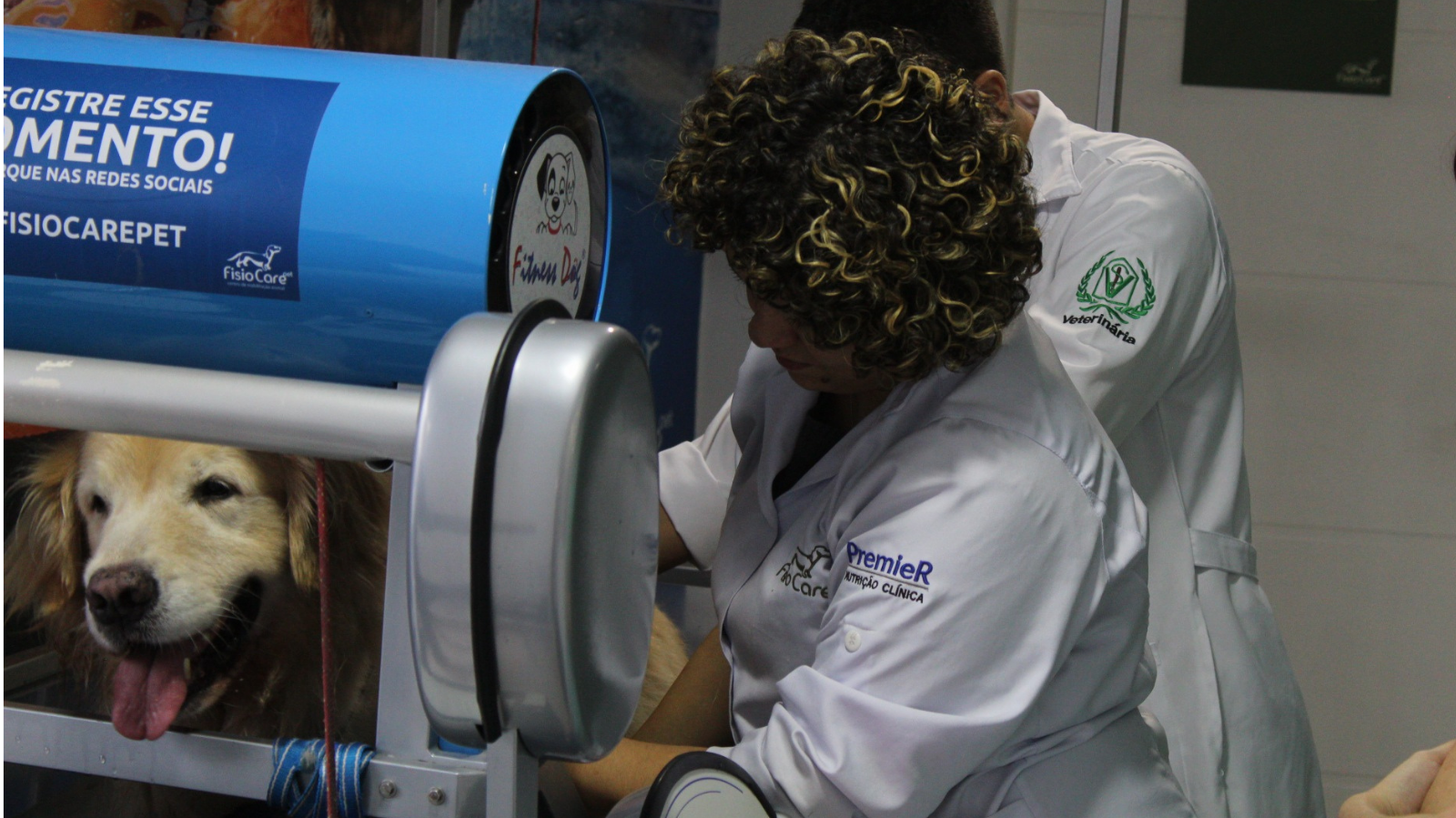 A Medicina Veterinária Integrativa chegou para ficar? Conheça o futuro!