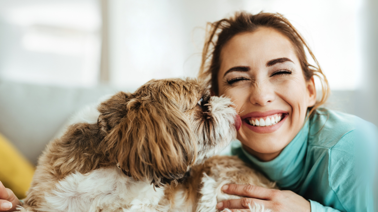 Reabilitação animal e bem-estar emocional: uma aliança essencial
