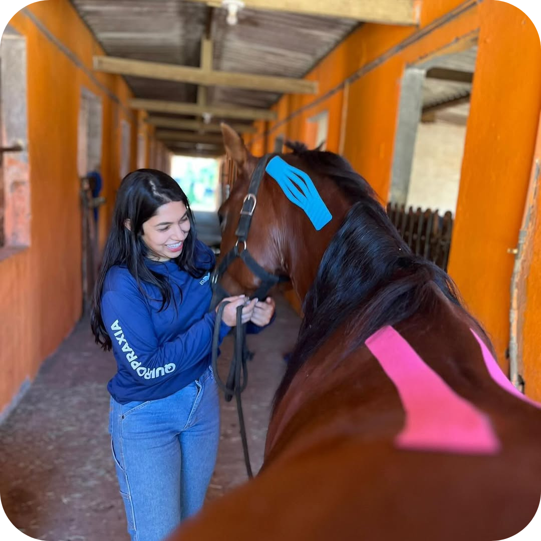 Fisio Care Pet em Ermelino Matarazzo: conheça a nova clínica de reabilitação animal!