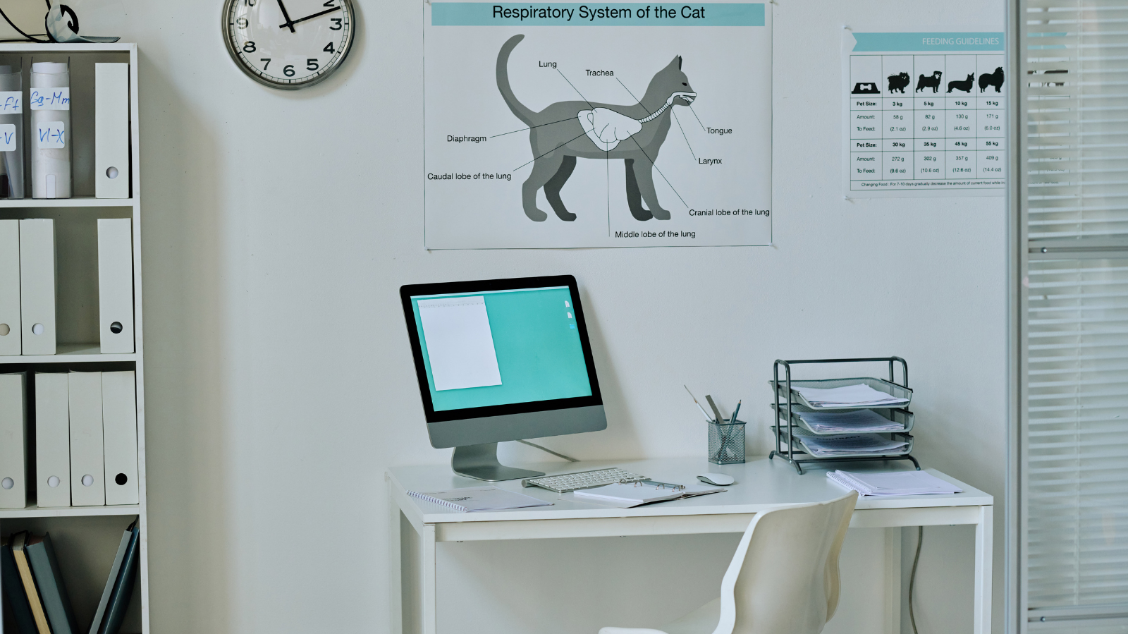 Terapias alternativas em veterinária: o que todo profissional precisa saber!