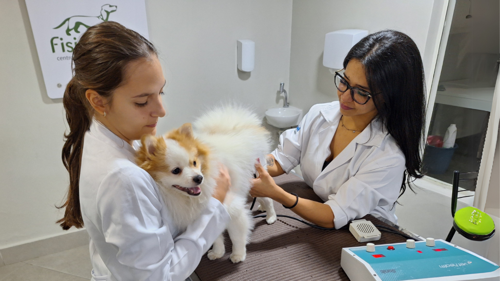 Reabilitação animal em Limeira: cuide com a Fisio Care Pet!