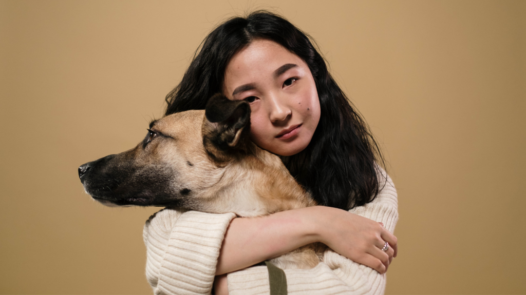 Luto animal: como os pets reagem à perda de um companheiro?