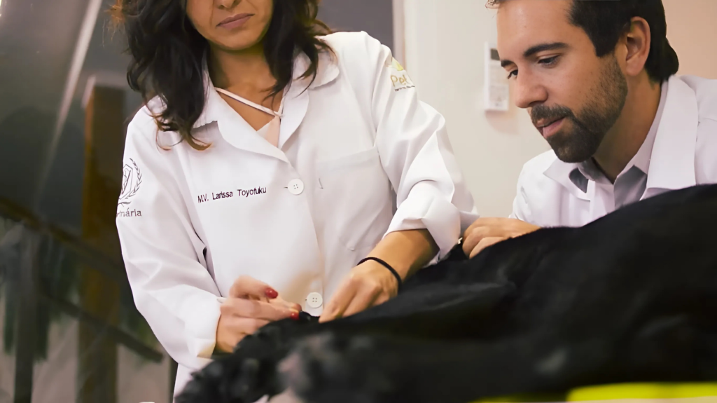 Especialização em Acupuntura Veterinária: guia para estudantes e veterinários