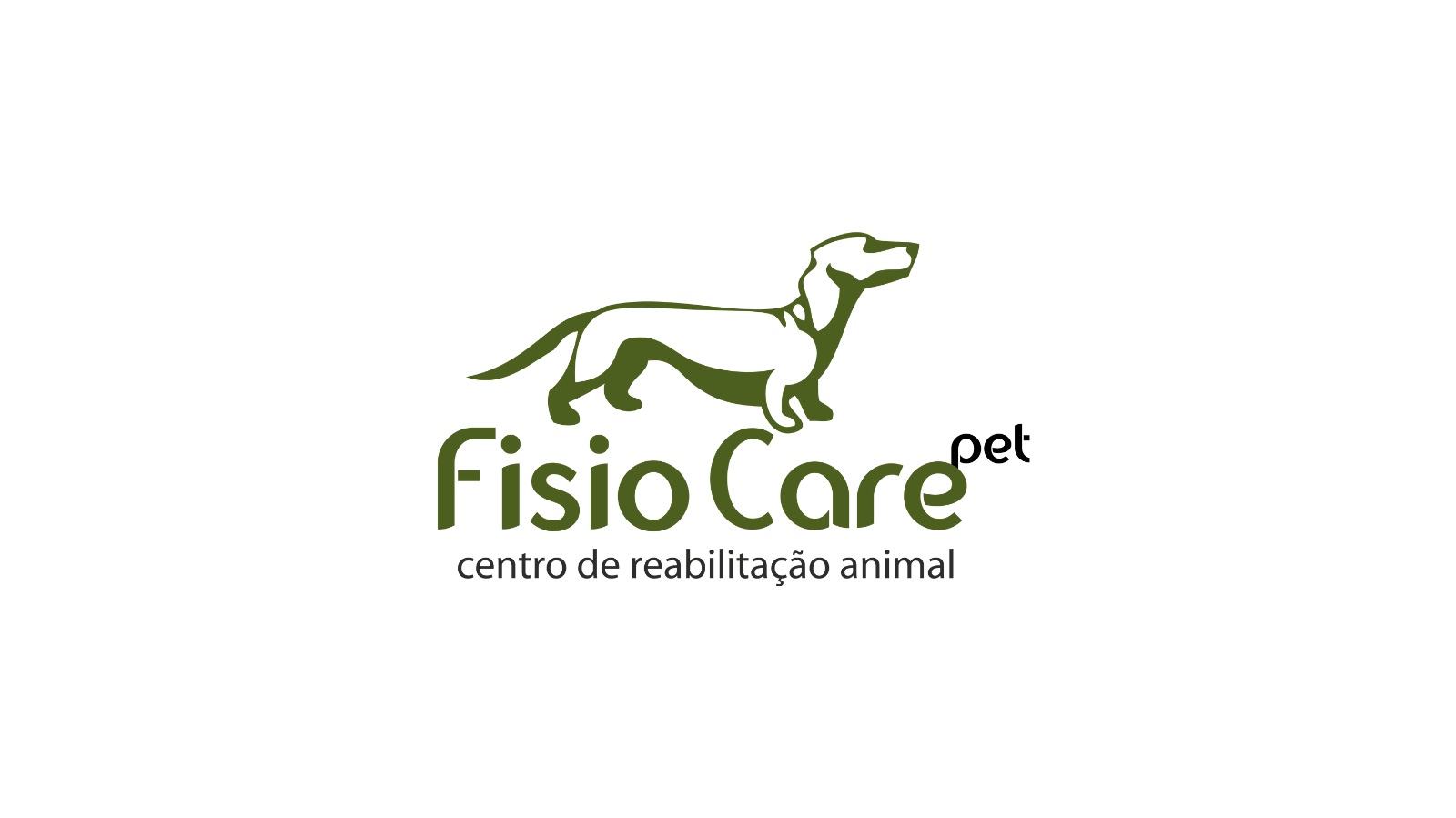 Fisioterapia veterinária: cuidado além da medicina tradicional