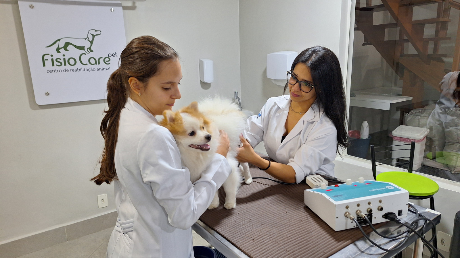 Reabilitação veterinária e fisioterapia animal: conceitos essenciais