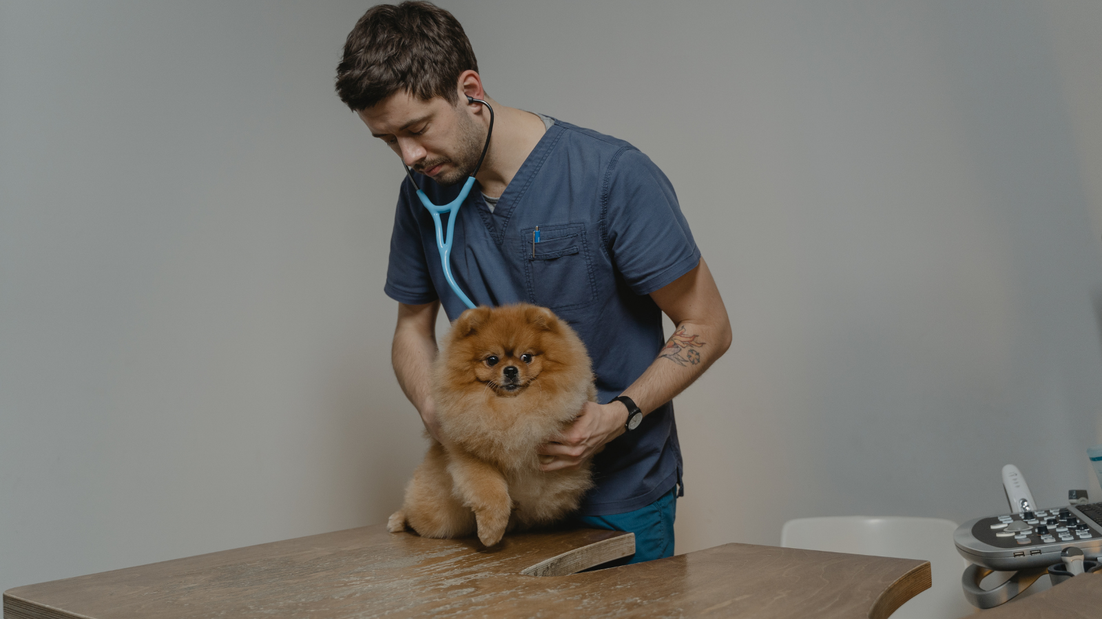 Anamnese veterinária: o passo essencial para cuidar da saúde do seu pet