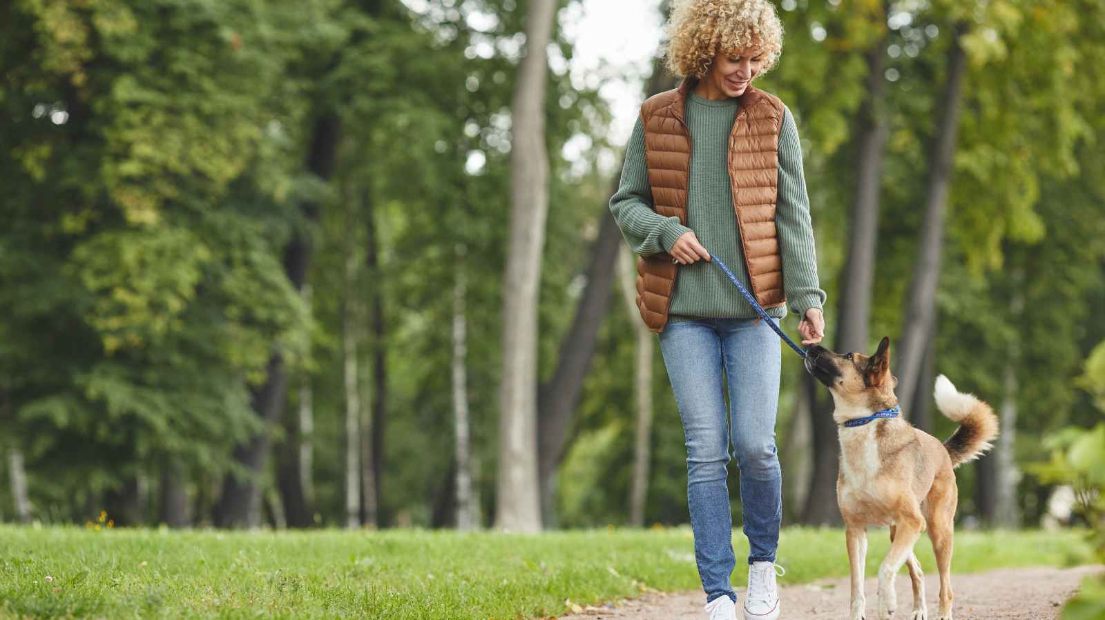 Caminhada com cachorro: quantos quilômetros seu pet pode andar por dia?