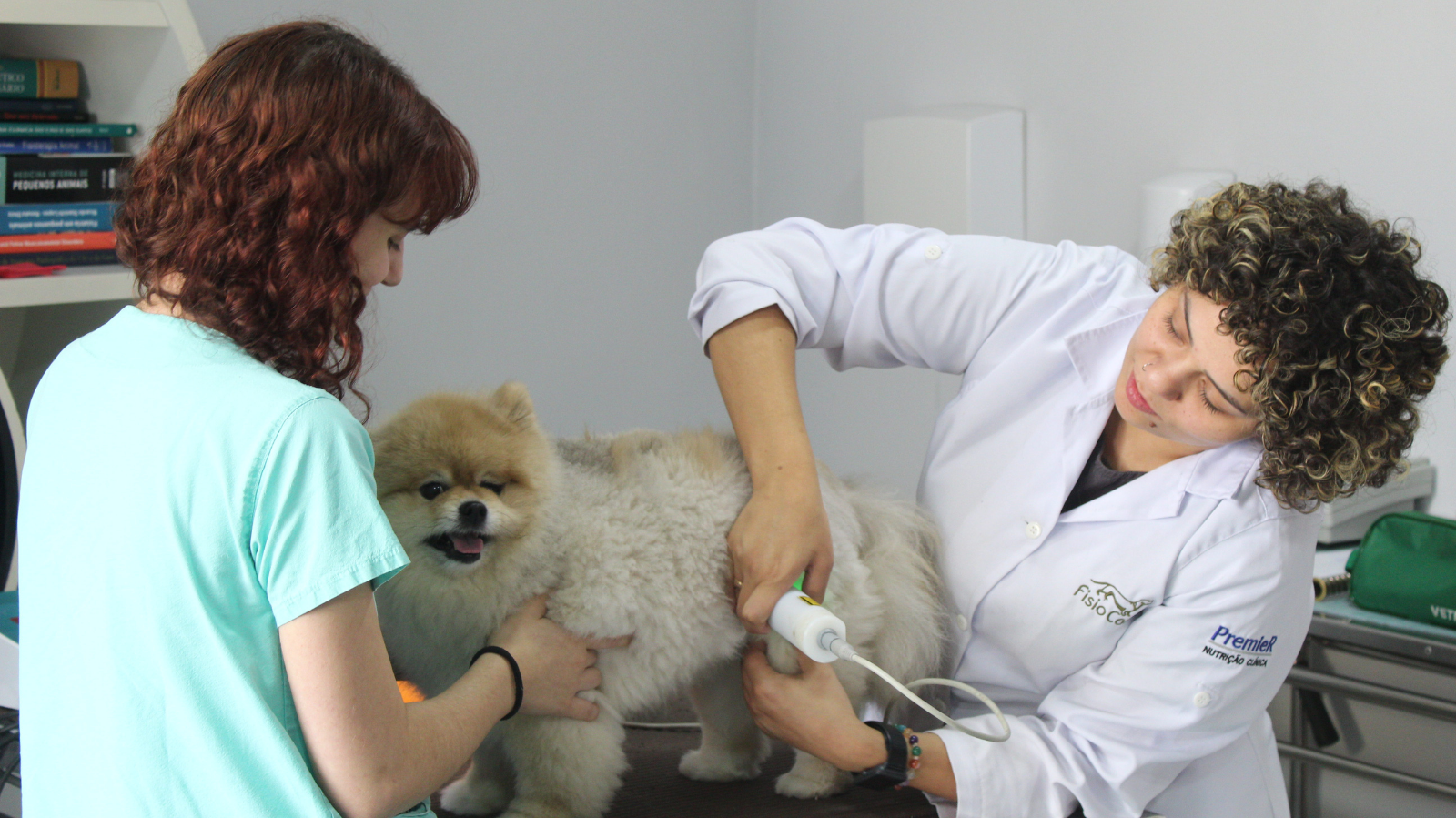 Quando começar a reabilitação do pet após a cirurgia?