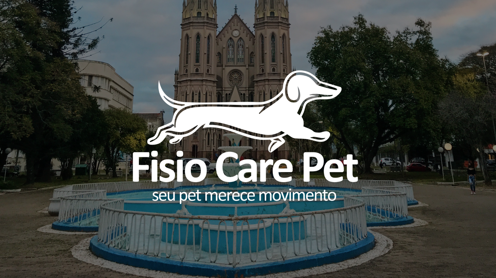 Fisioterapia Veterinária em Santa Cruz do Sul, RS