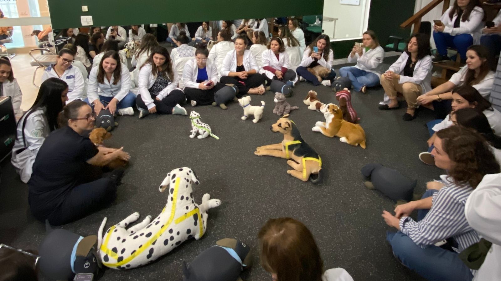 Inscrições Abertas para o Curso Avançado de Neurologia e Neuroreabilitação Veterinária