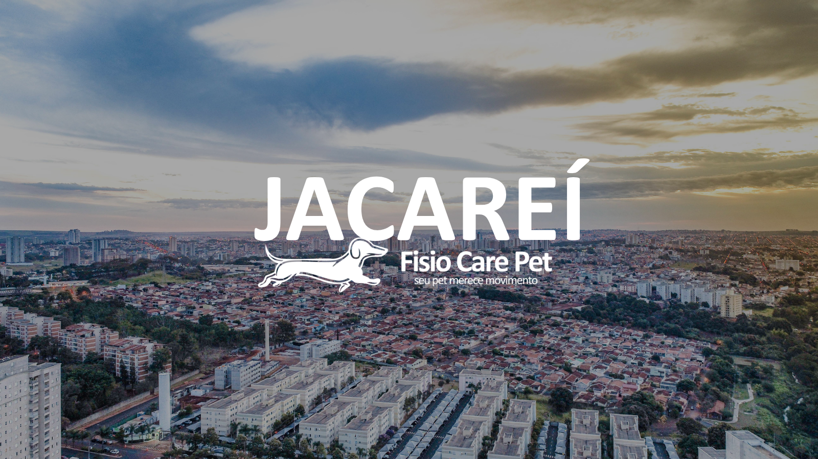 clínica de fisioterapia animal em Jacareí