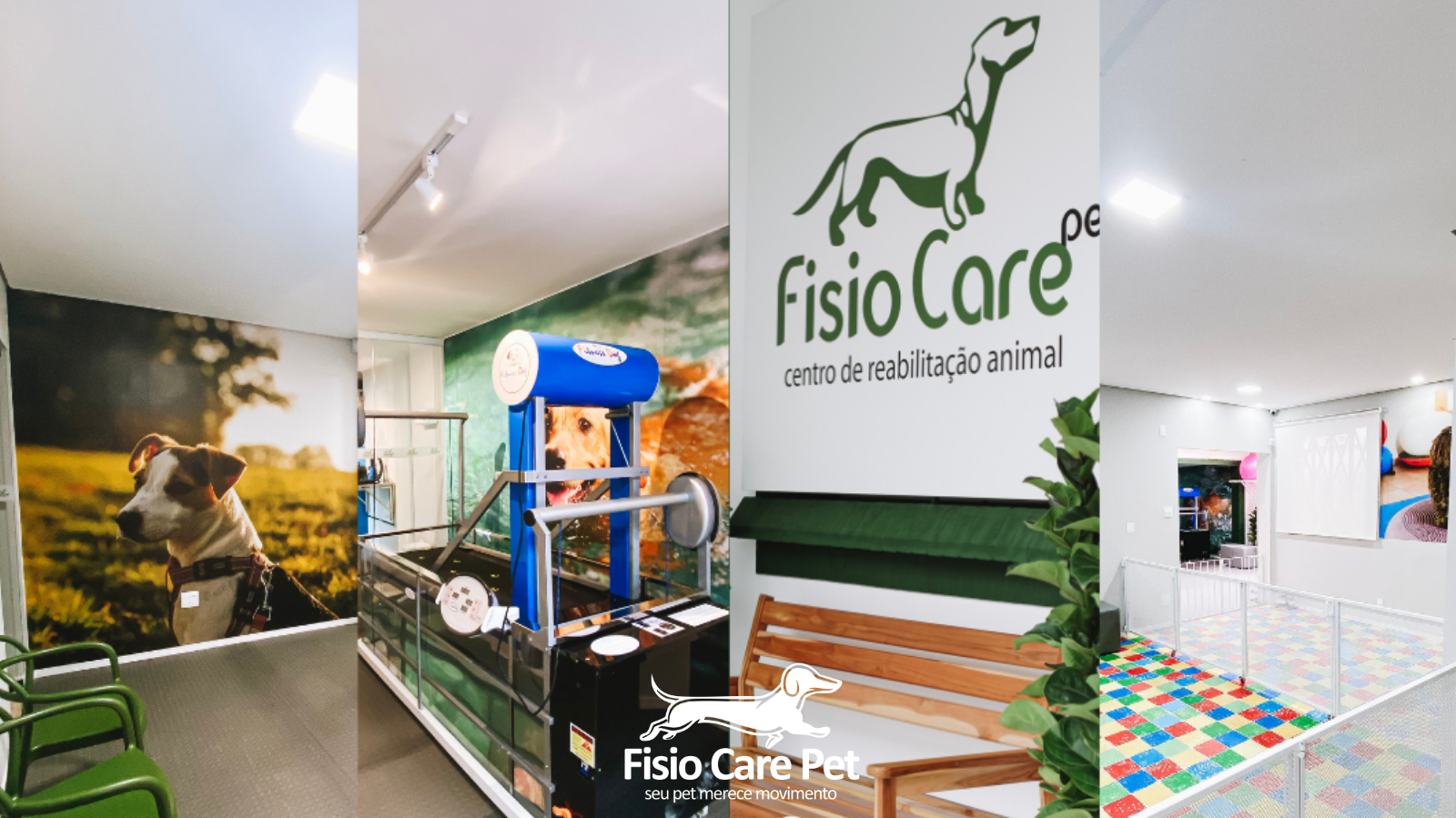 Ortopedista Veterinário na Granja Viana