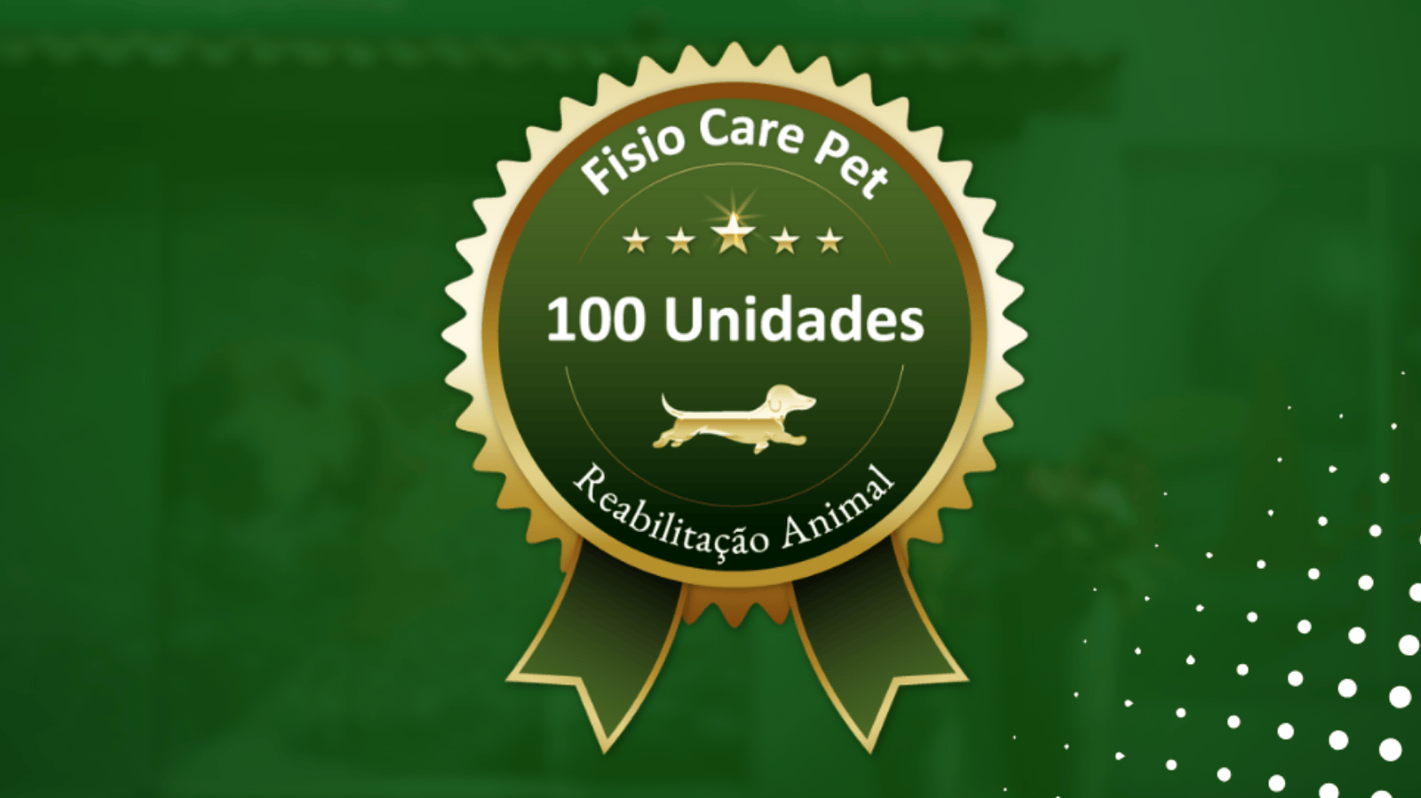 De pioneira a gigante: Fisio Care Pet atinge 100 unidades na América Latina
