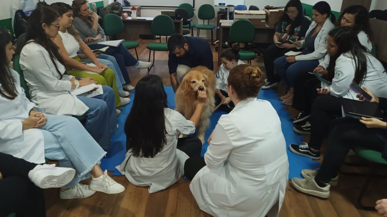 Pós-graduação em Fisioterapia e Acupuntura Veterinária