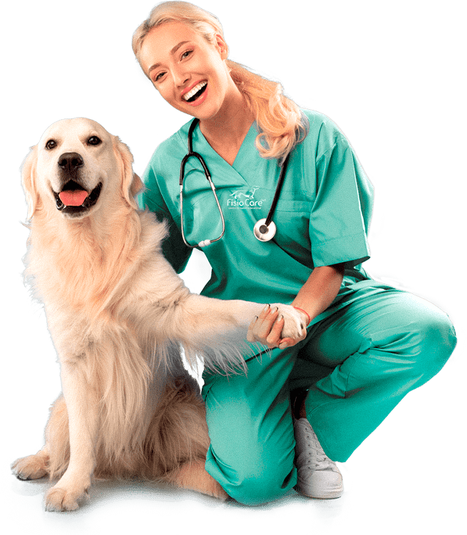 Curso Extensivo em Acupuntura Veterinária em São Paulo