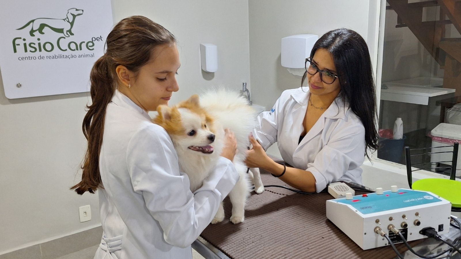 Petland Santos e Fisio Care Pet: Cuidado juntas do Seu Pet!