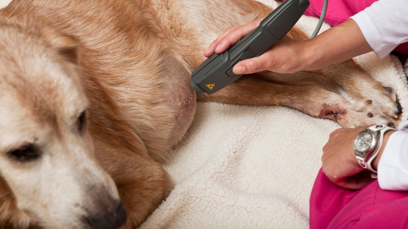 Laserterapia Para Dor e Cicatrização: Como Funciona e Quais os Benefícios