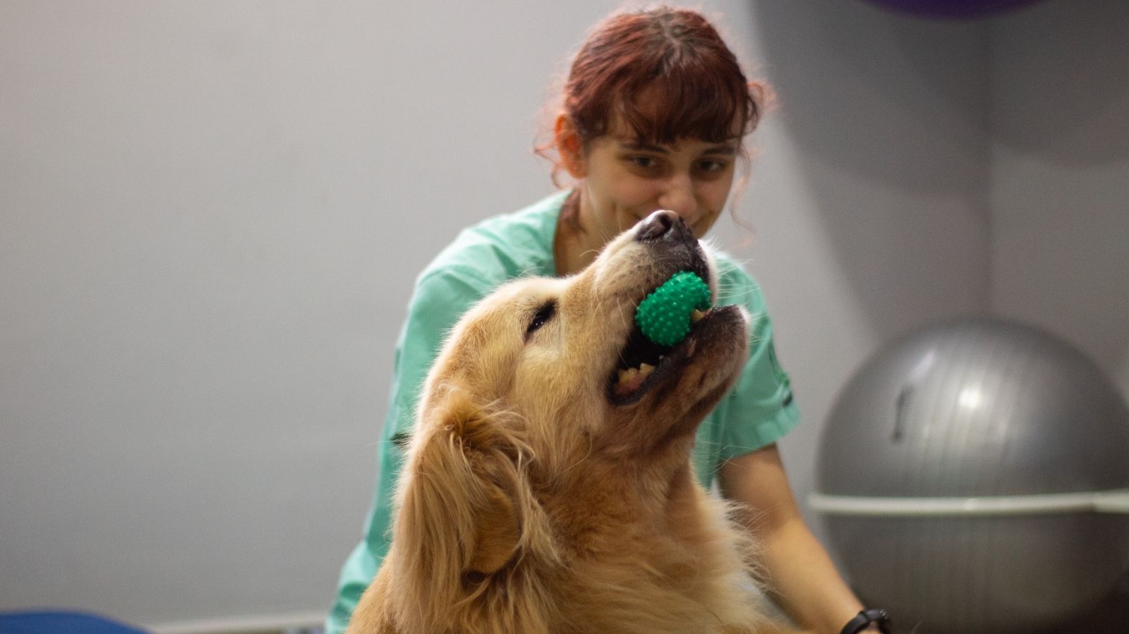 Fisioterapia Animal em Presidente Prudente: Saúde e Bem-Estar