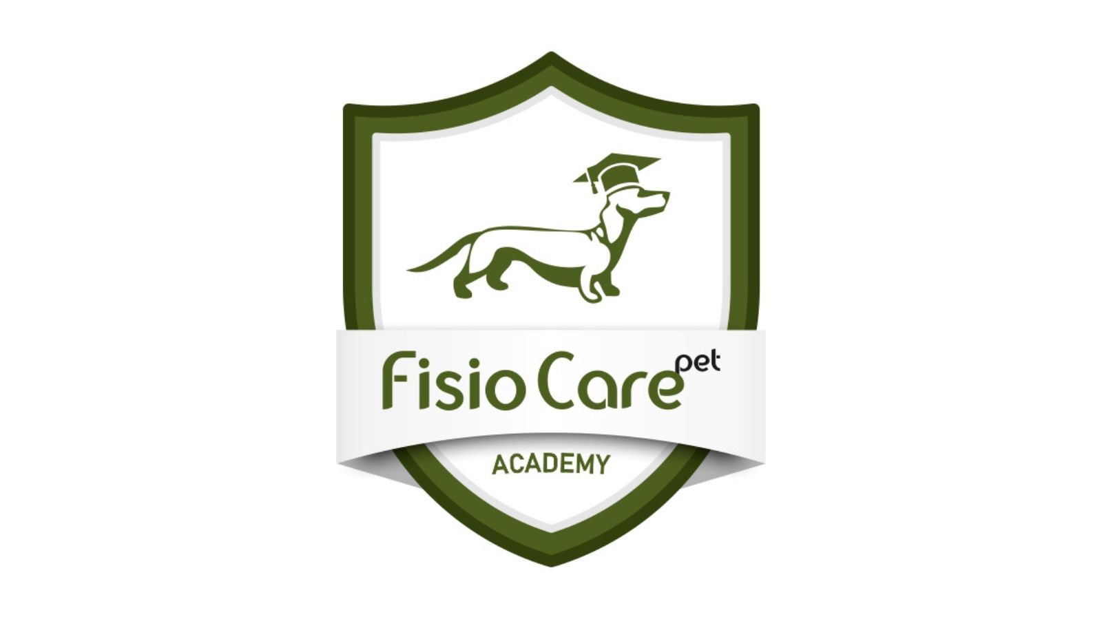 Pós-graduação em Fisioterapia Veterinária: Fisio Care Pet Academy