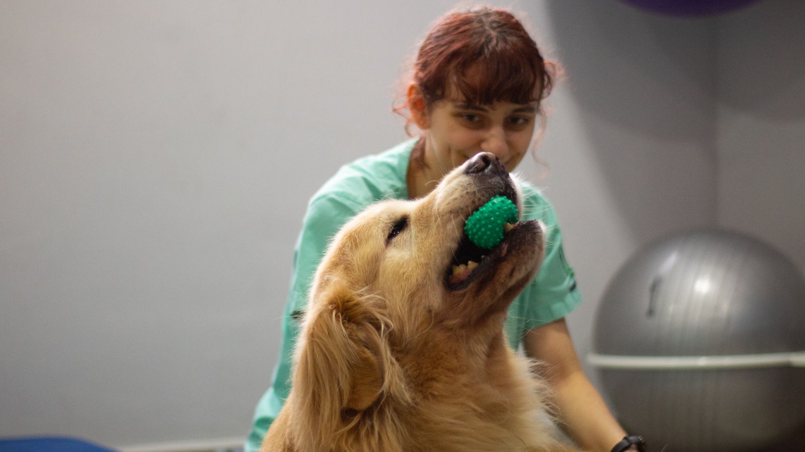 Fisioterapia Veterinária dentro do Centro Veterinário Wazlawik