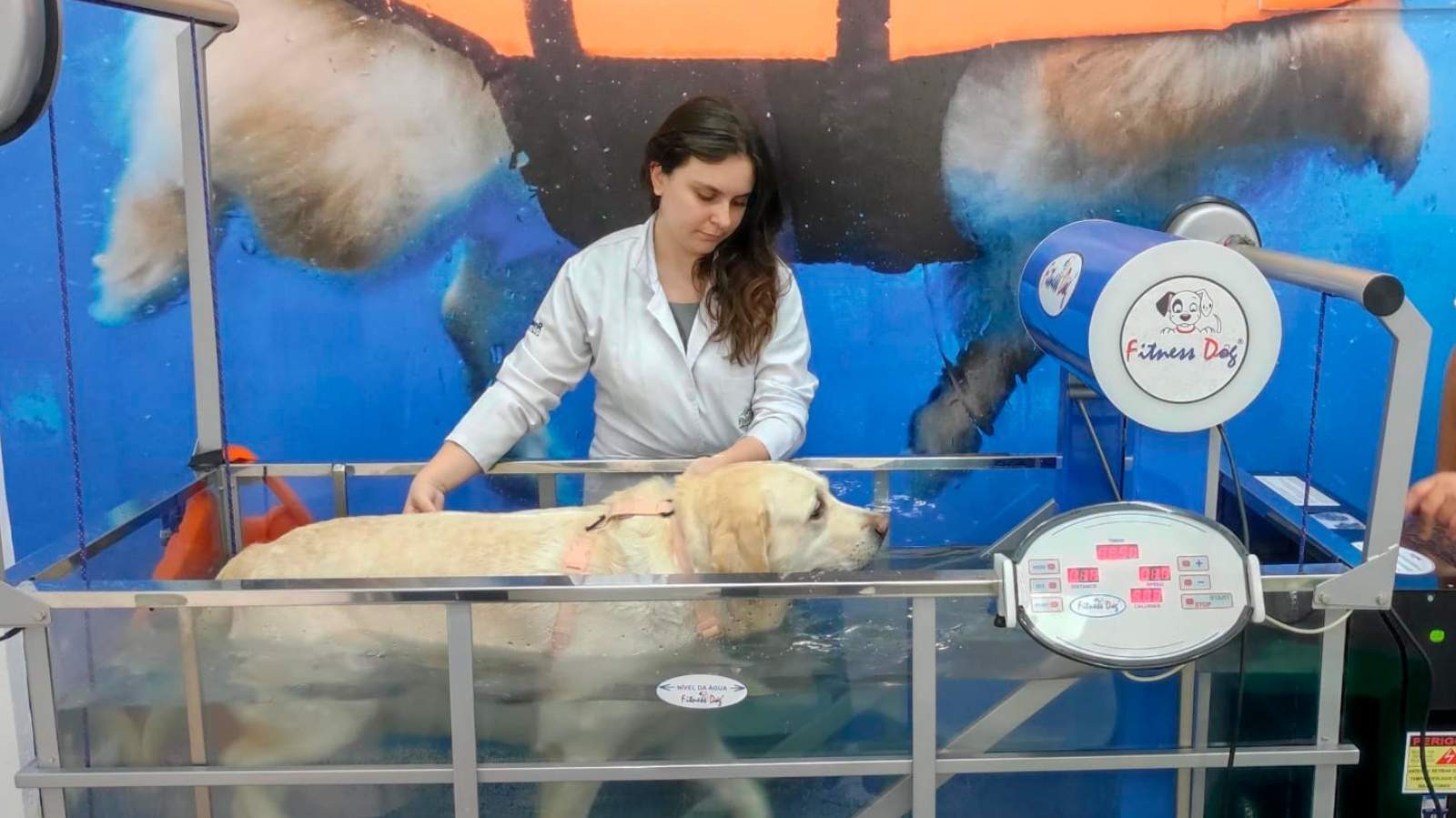 Vaga para Médico-veterinário Fisiatra em Camboriú – SC