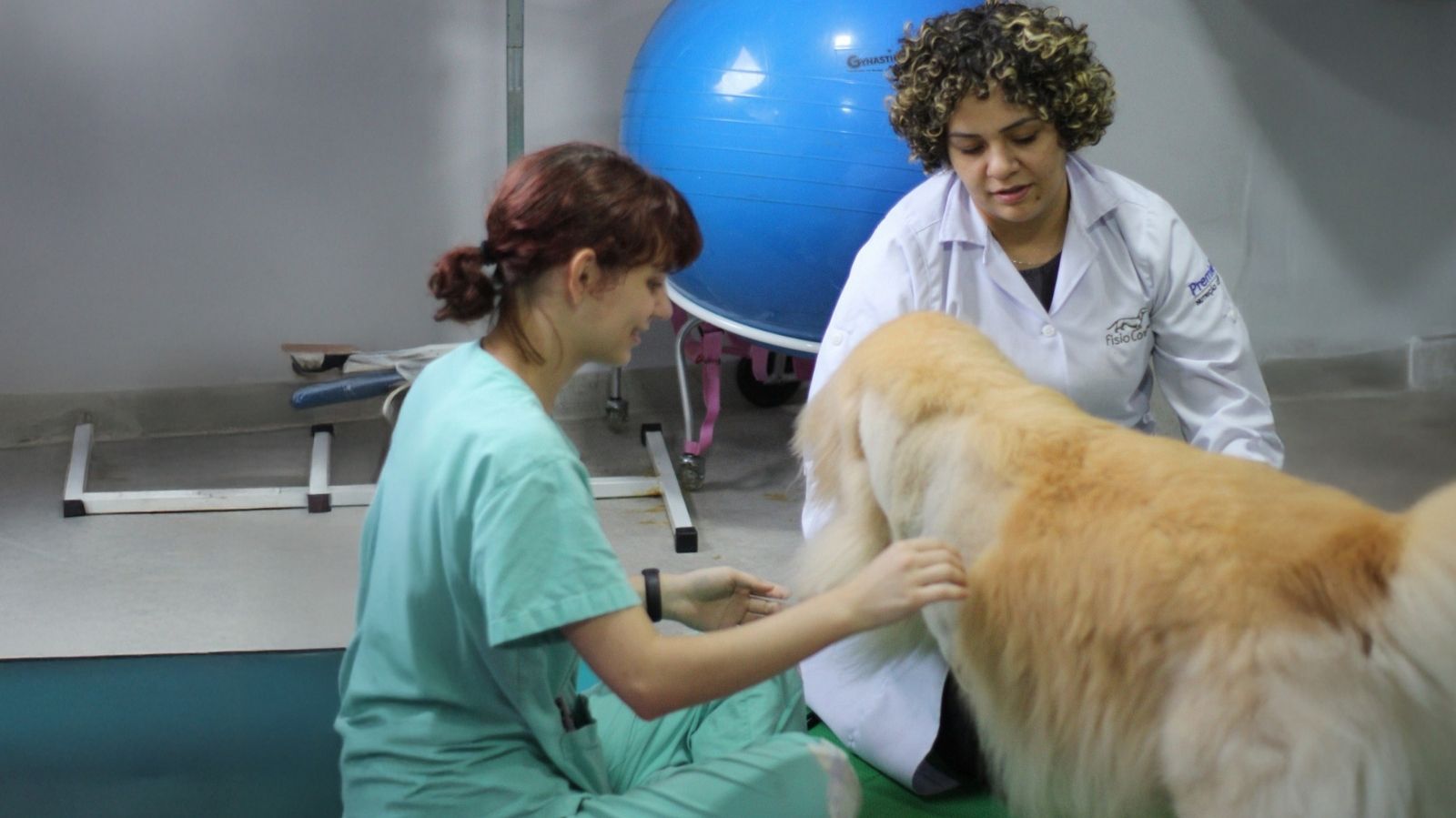 Vaga para Médico-veterinário Fisiatra em Resende – RJ