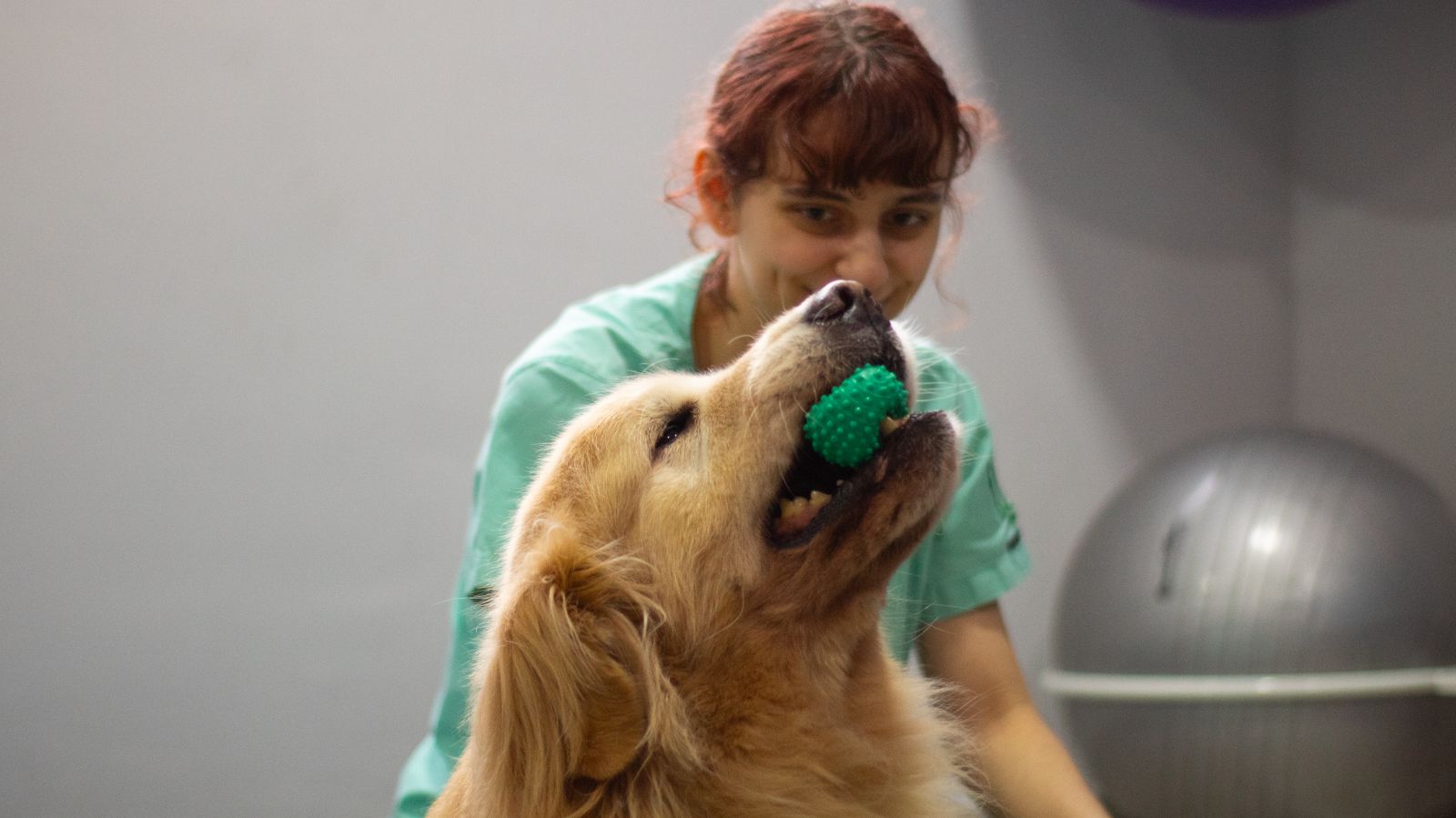 Vaga para Médico-veterinário Fisiatra em Taboão da Serra - SP