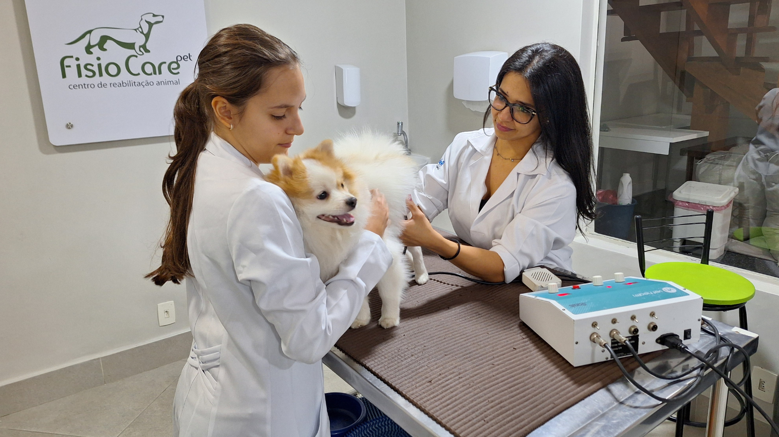 Vaga para Médico Veterinário Fisiatra na Vila Anastácio – SP