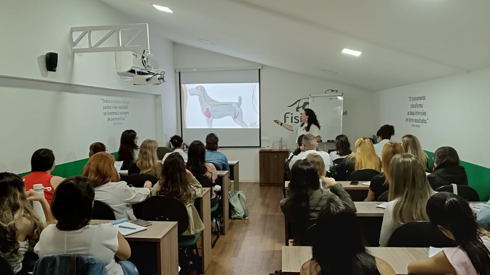 Pós-graduação em Acupuntura Veterinária 2026: especialização estratégica