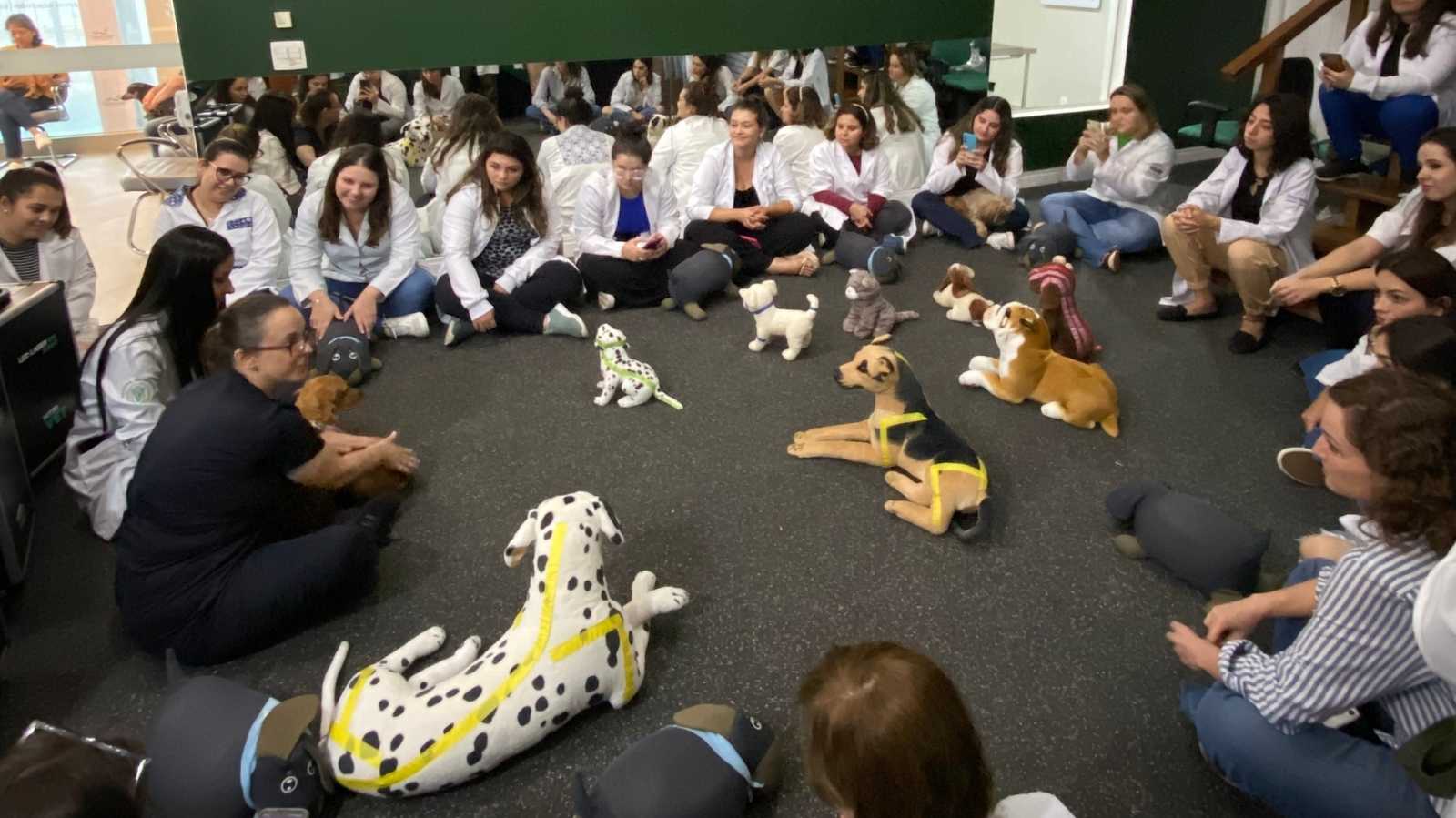 Pós-graduação em Fisioterapia Veterinária 2026: especialização completa