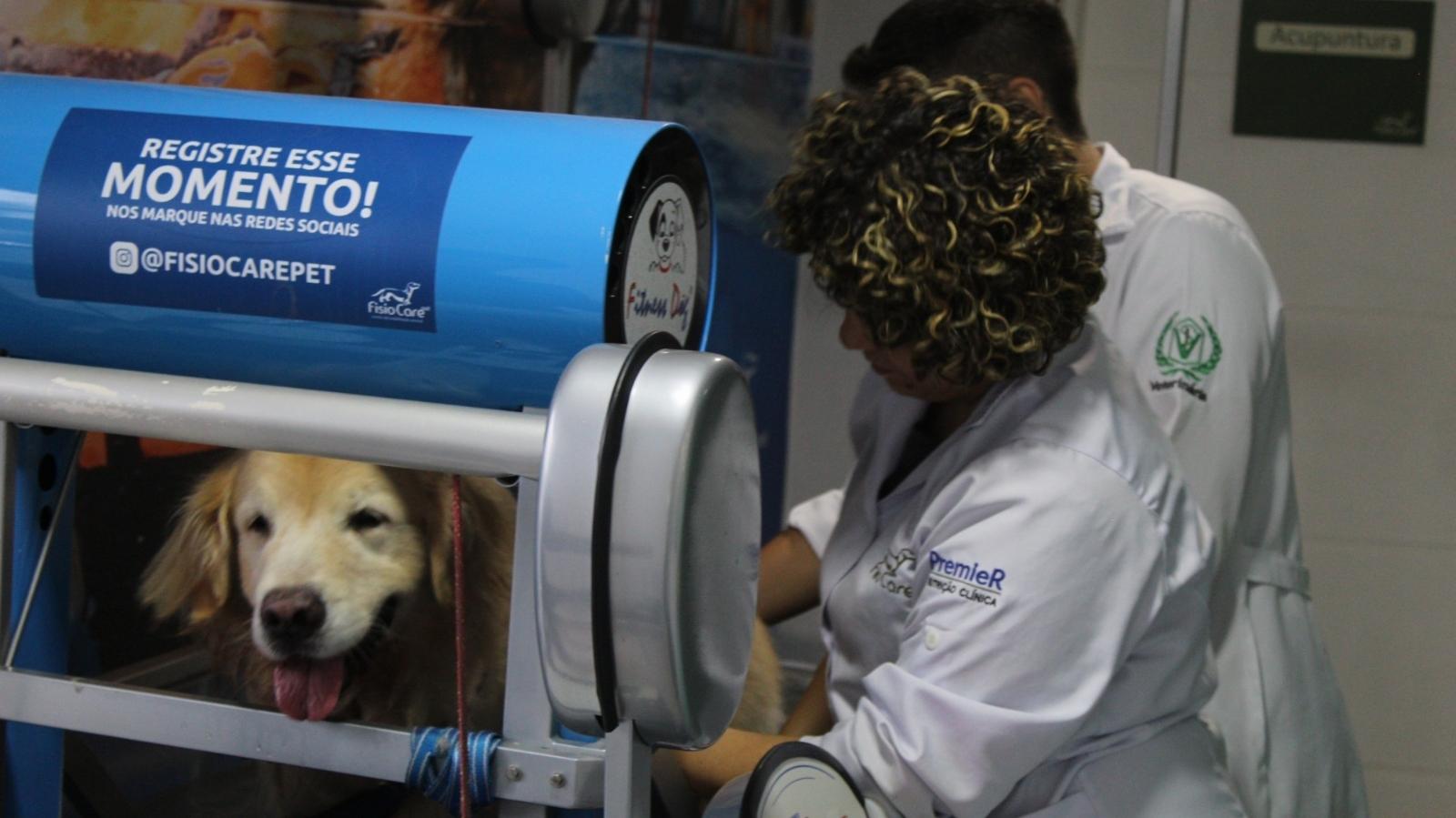 Vaga para Médico Veterinário Fisiatra na Vila Anastácio – SP