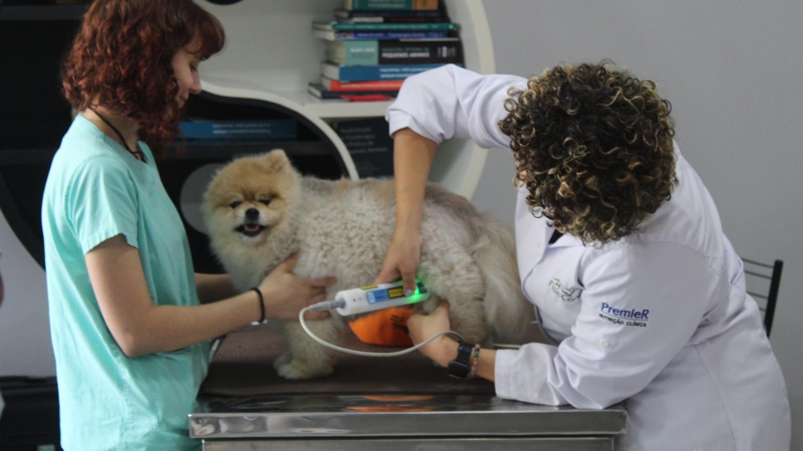 Vaga para Médico-veterinário Fisiatra em Limeira – SP