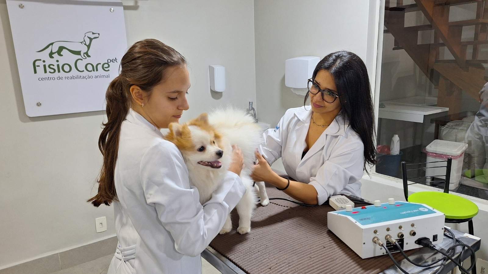 Clínica veterinária na Vila Prudente: especialização em Fisioterapia Animal