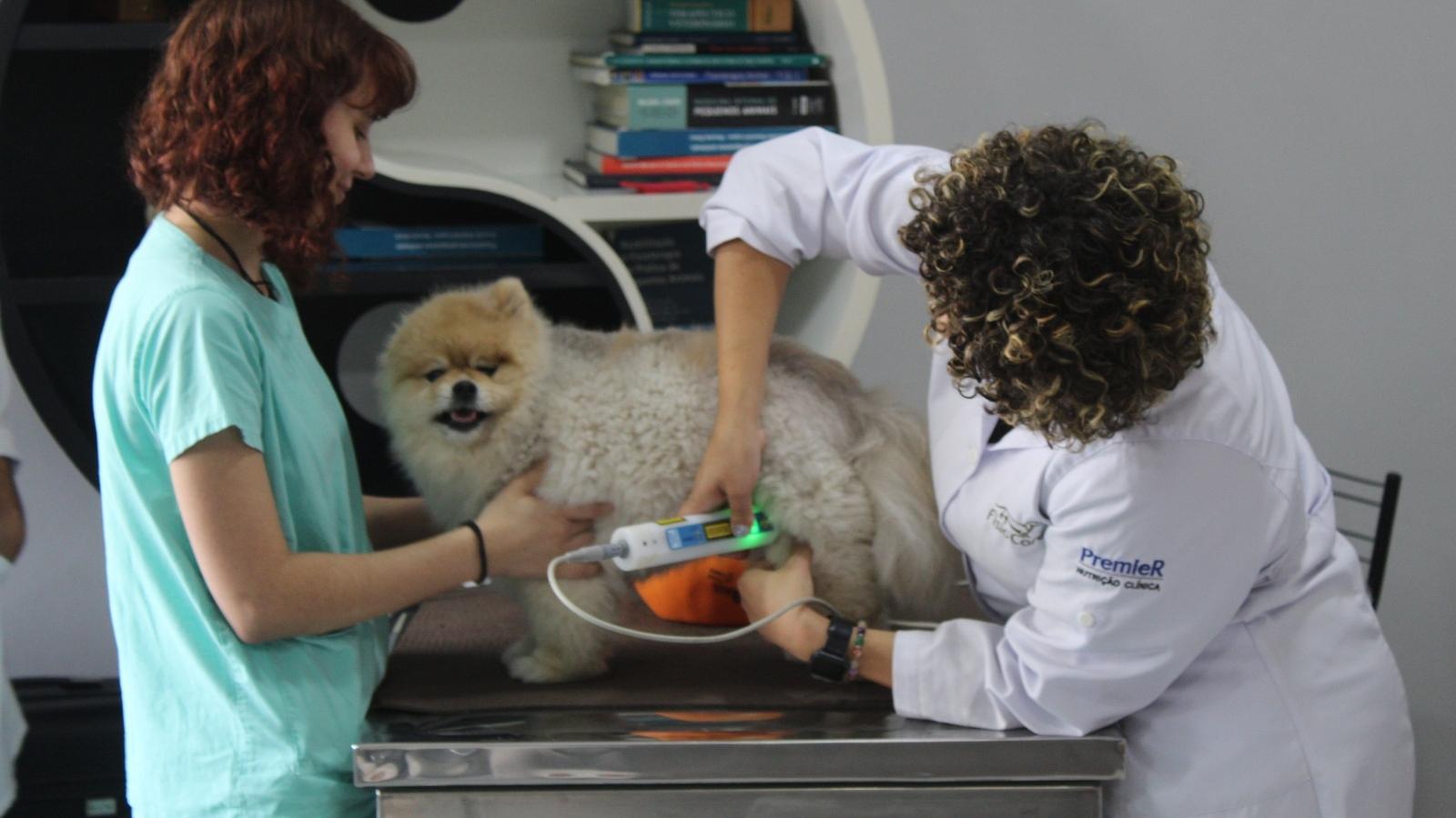 Vaga para Médico-Veterinário Fisiatra João Pessoa - PB