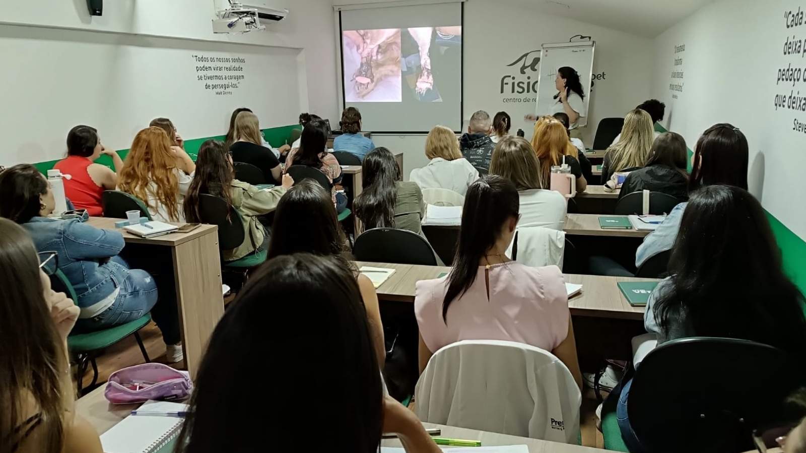 Curso Extensivo de Acupuntura Veterinária 2026: formação completa