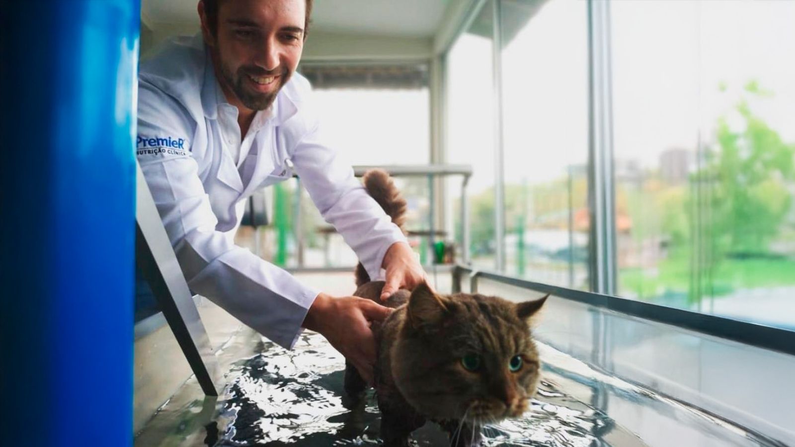 Fisioterapia veterinária em João Pessoa: Fisio Care Pet está chegando