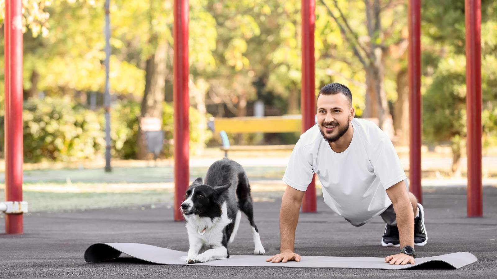 exercícios para cachorro de médio porte