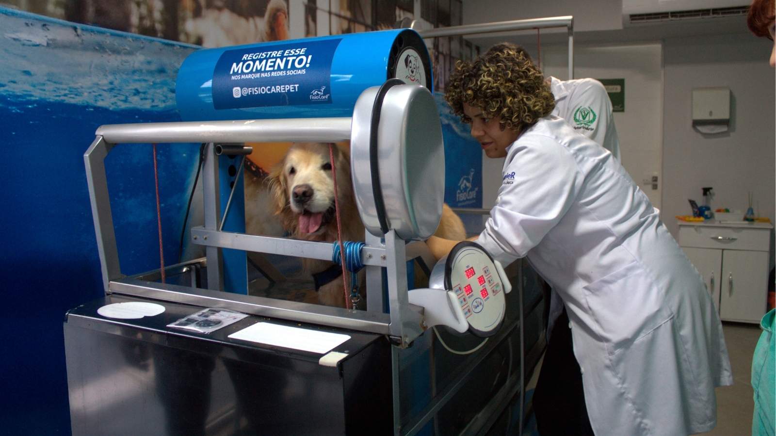 Fisioterapia Veterinária em Jundiaí: controle da dor do seu pet