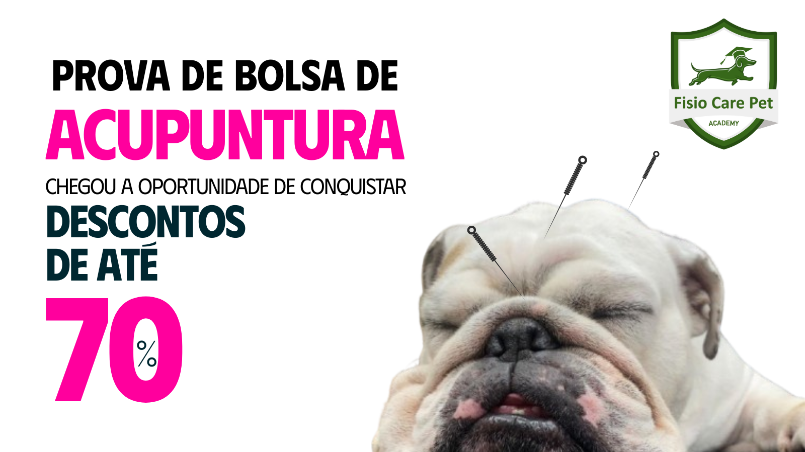 Prova de Bolsa 2026: Pós-Graduação em Acupuntura Veterinária