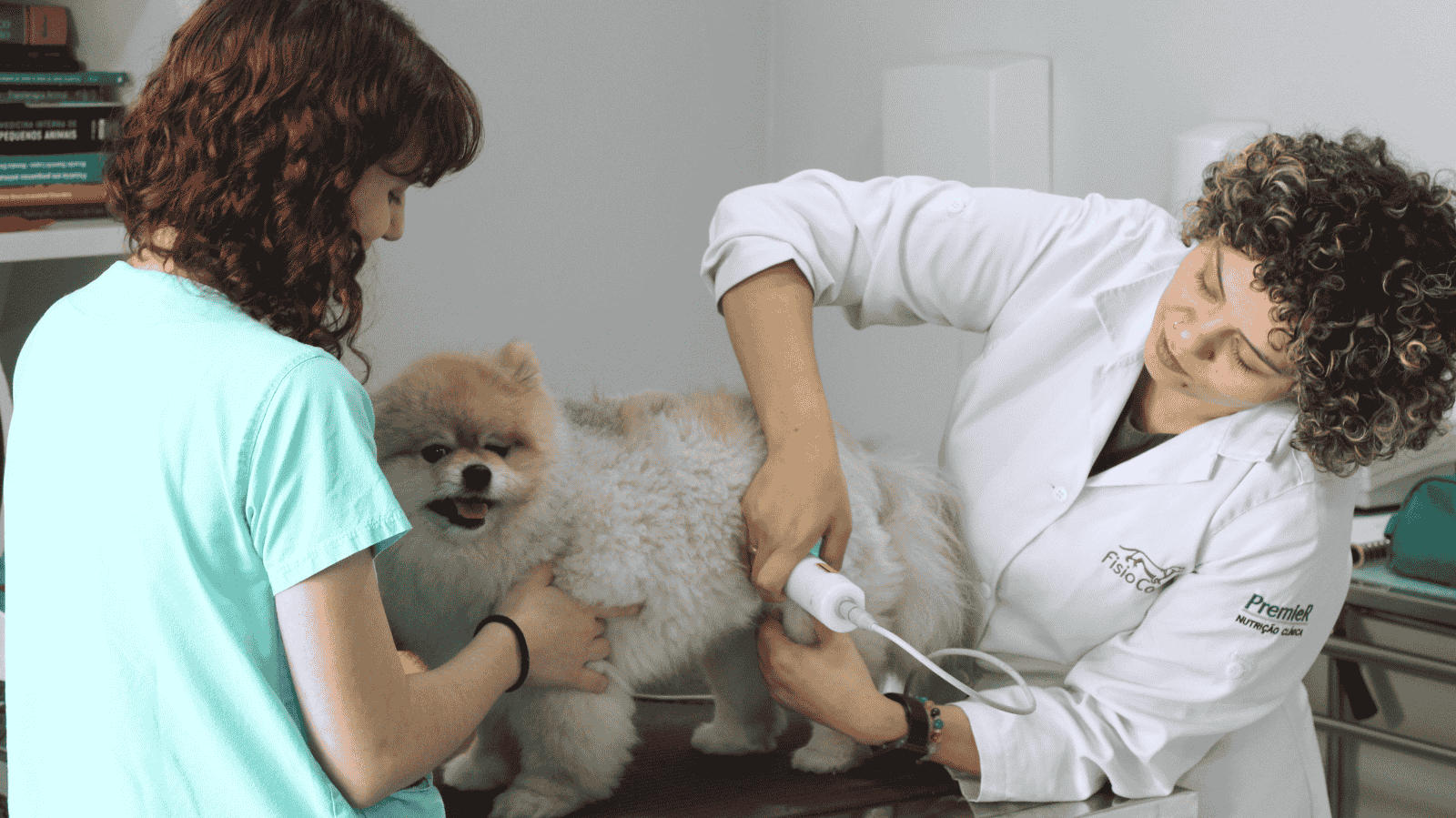 Fisio Care Pet Uberlândia: tratamento para cachorro com hérnia de disco