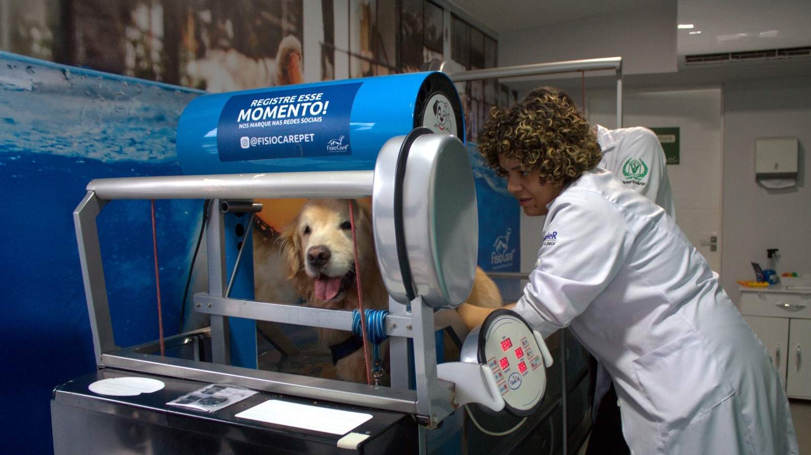 Clínica veterinária em Divinópolis especializada em fisioterapia pet