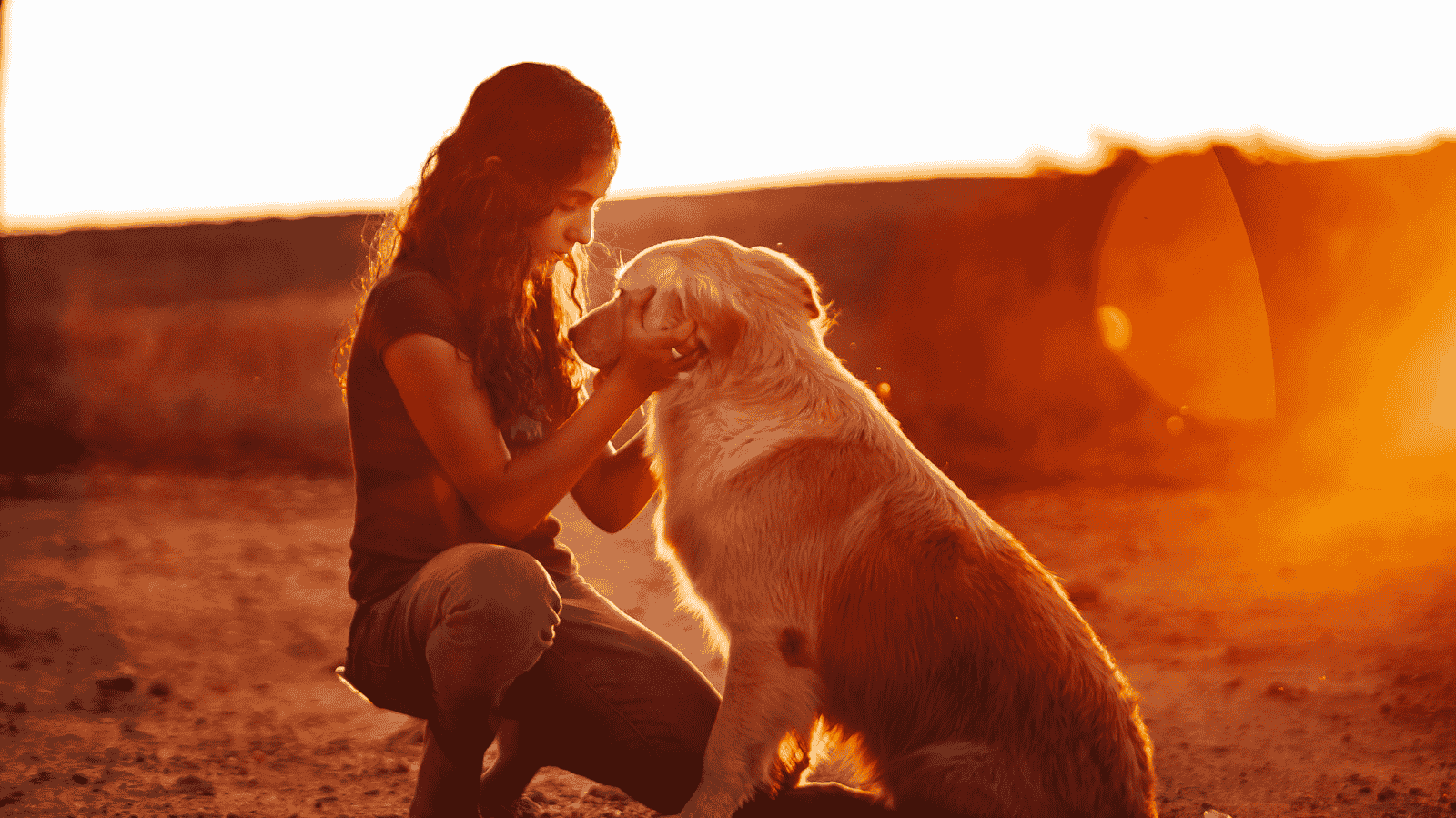 Abril Laranja: mês de prevenção a crueldade animal